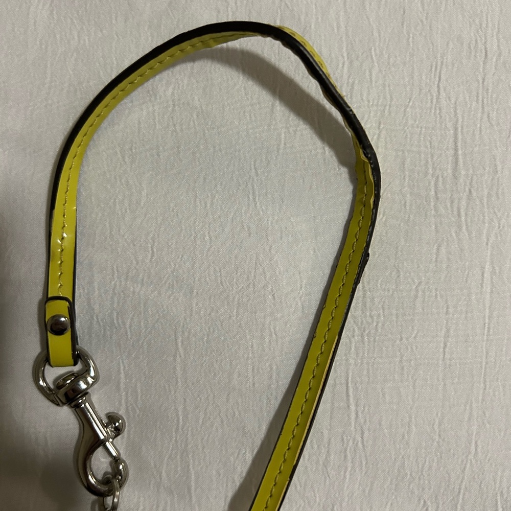 Coach Brown and Yellow Wristlet - Picture 3 of 4